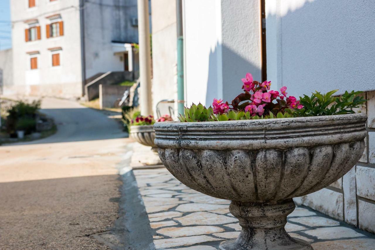Apartmani Muzic Orlec Exteriér fotografie