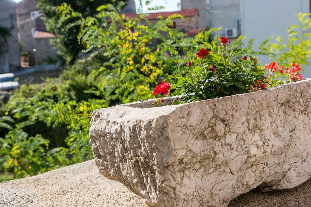 Apartmani Muzic Orlec Exteriér fotografie